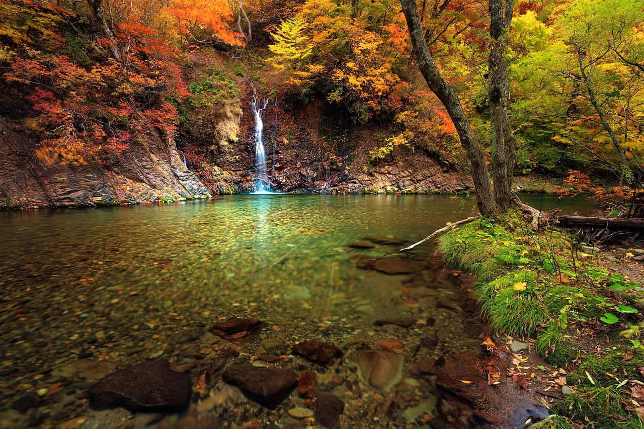 Oirase Gorge clear waterfall pool surrounded by autumn forest in Towada Aomori Japan