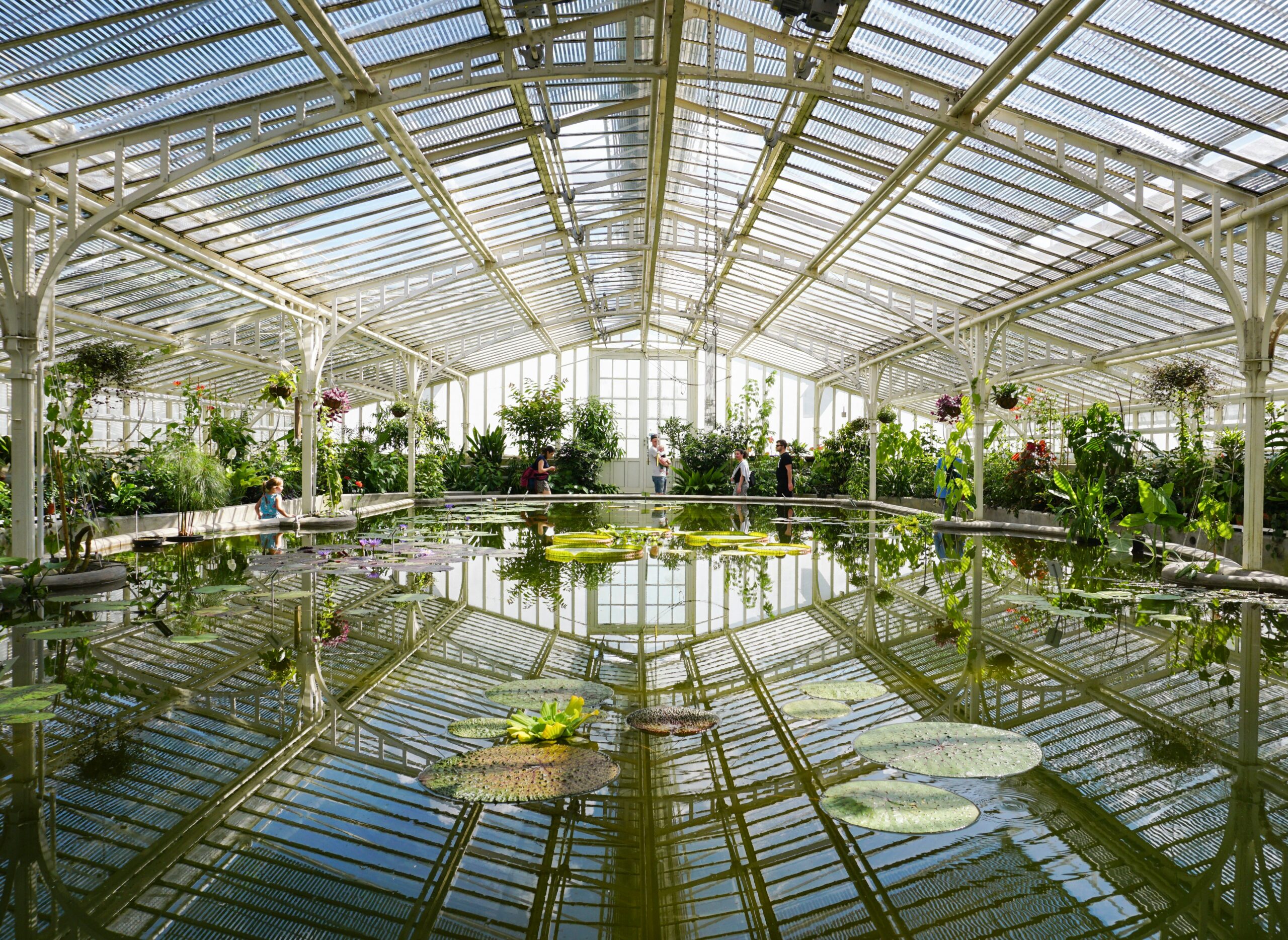 Inside the Grandes Serres greenhouses at Jardin des Plantes in Paris
