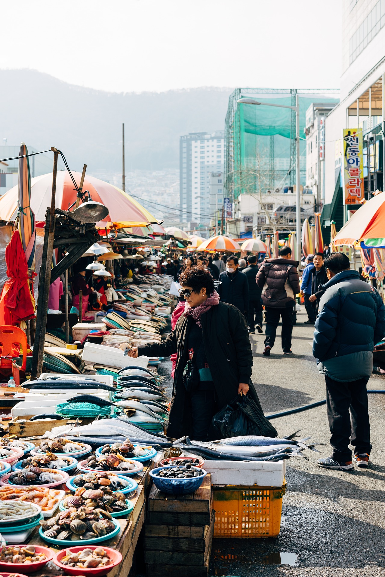 Jagalchi Market Busan seafood stalls with fresh fish and local vendors in outdoor market